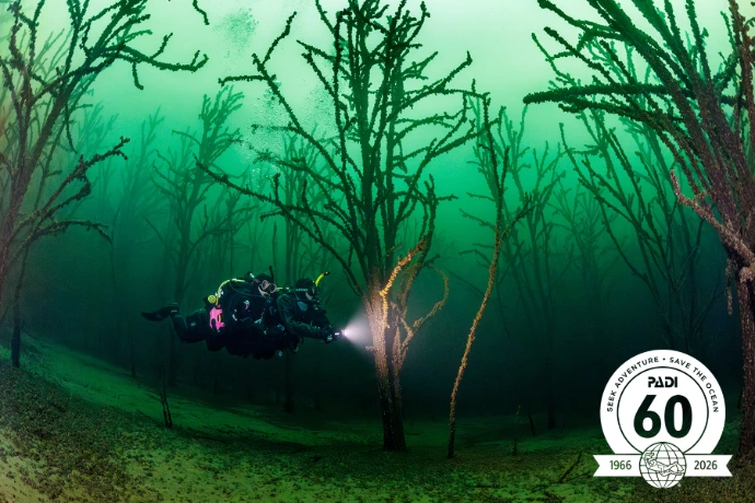 PADI Advanced Open Water Diver