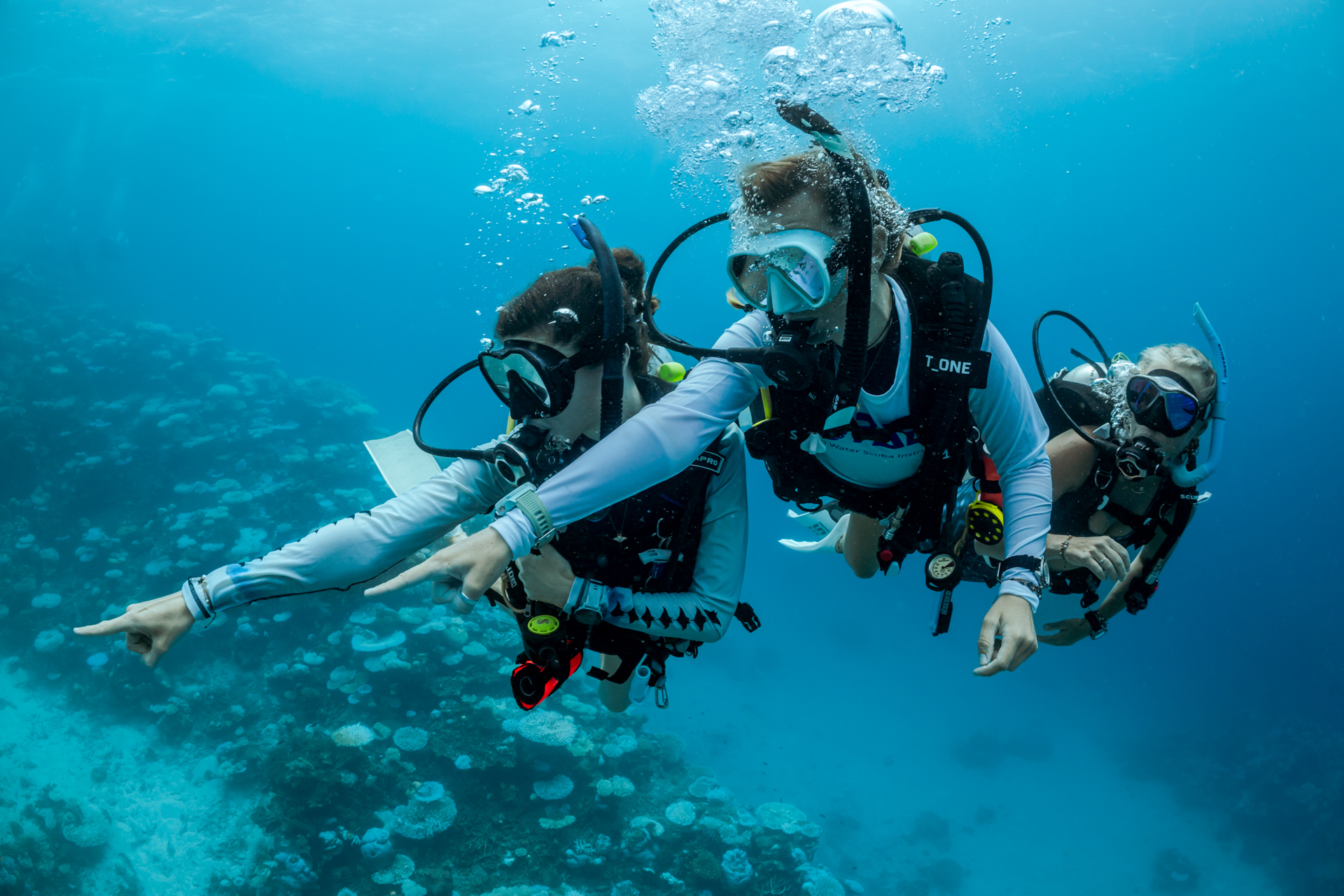 Duikers tijdens een begeleide duikopleiding in open water