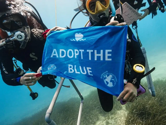 Duikers met Adopt the Blue-vlag onder water