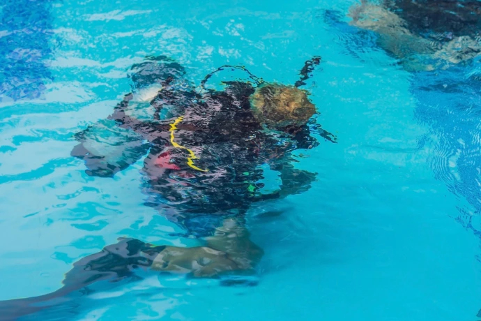 Duikinitiatie Antwerpen