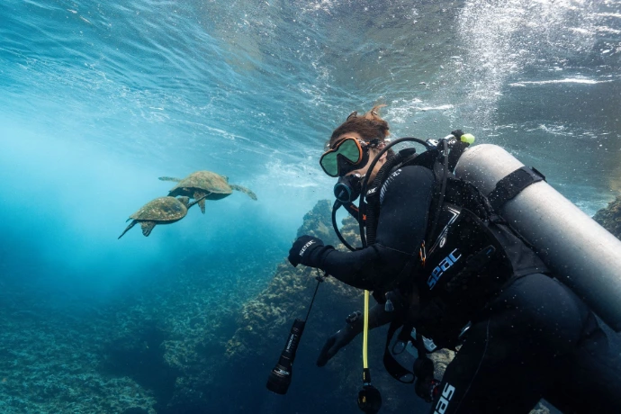 Wat is dive pro group