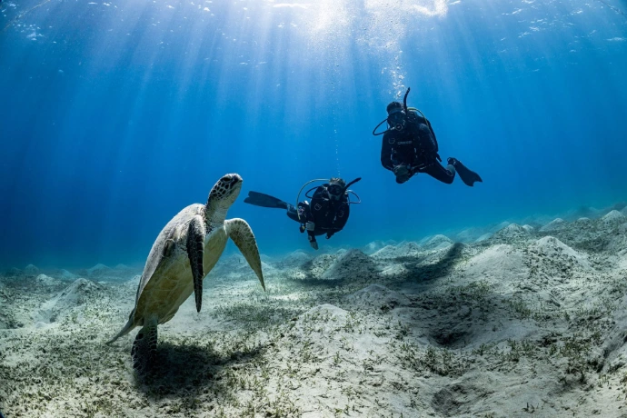 Dive Instructor tijdens internationale MSDT training in open water