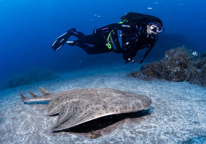 Advanced Open Water Antwerpen