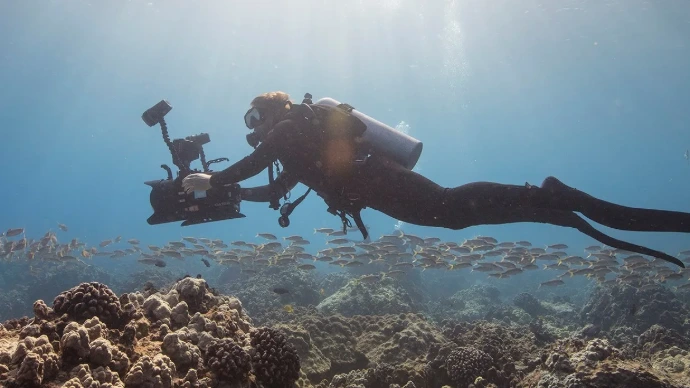 Duiker fotografeert een vis tijdens de PADI Digital Underwater Photography