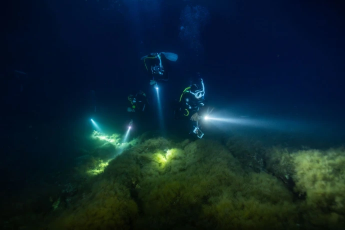 Duiker met lamp tijdens een nachtduik van de PADI Night Diver