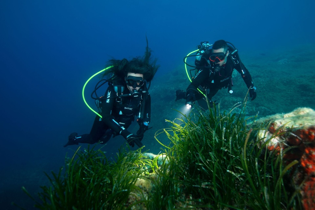 [PADI-AOWD] PADI Advanced Open Water Diver (PADI Advanced Open Water Diver)
