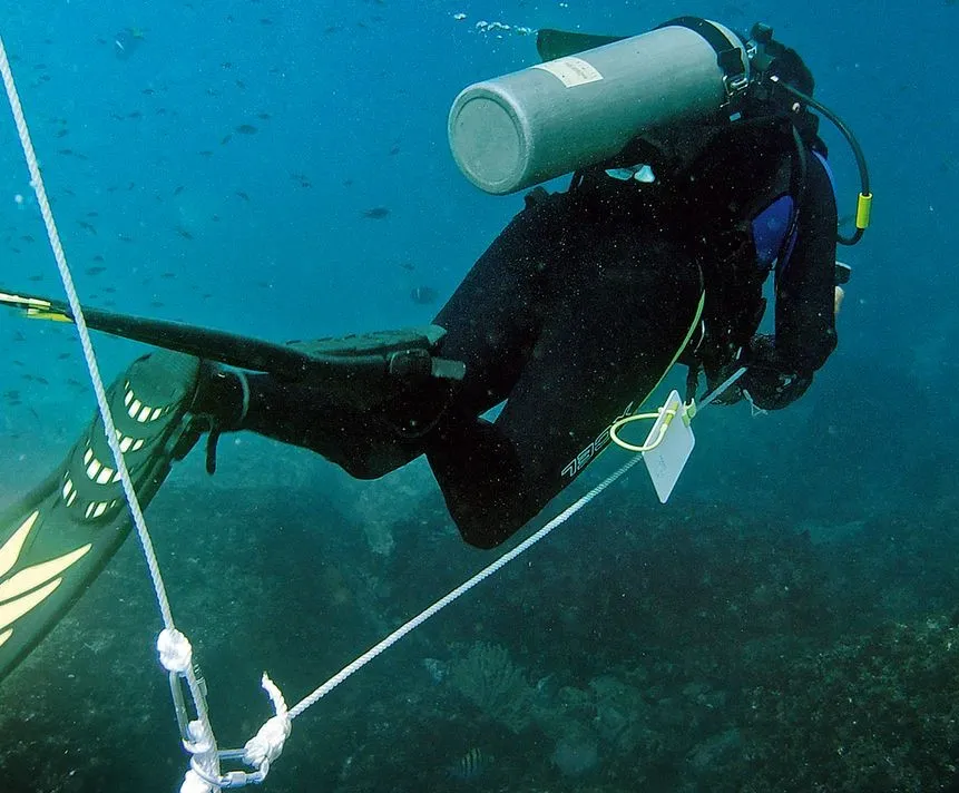 Search & Recovery Specialty