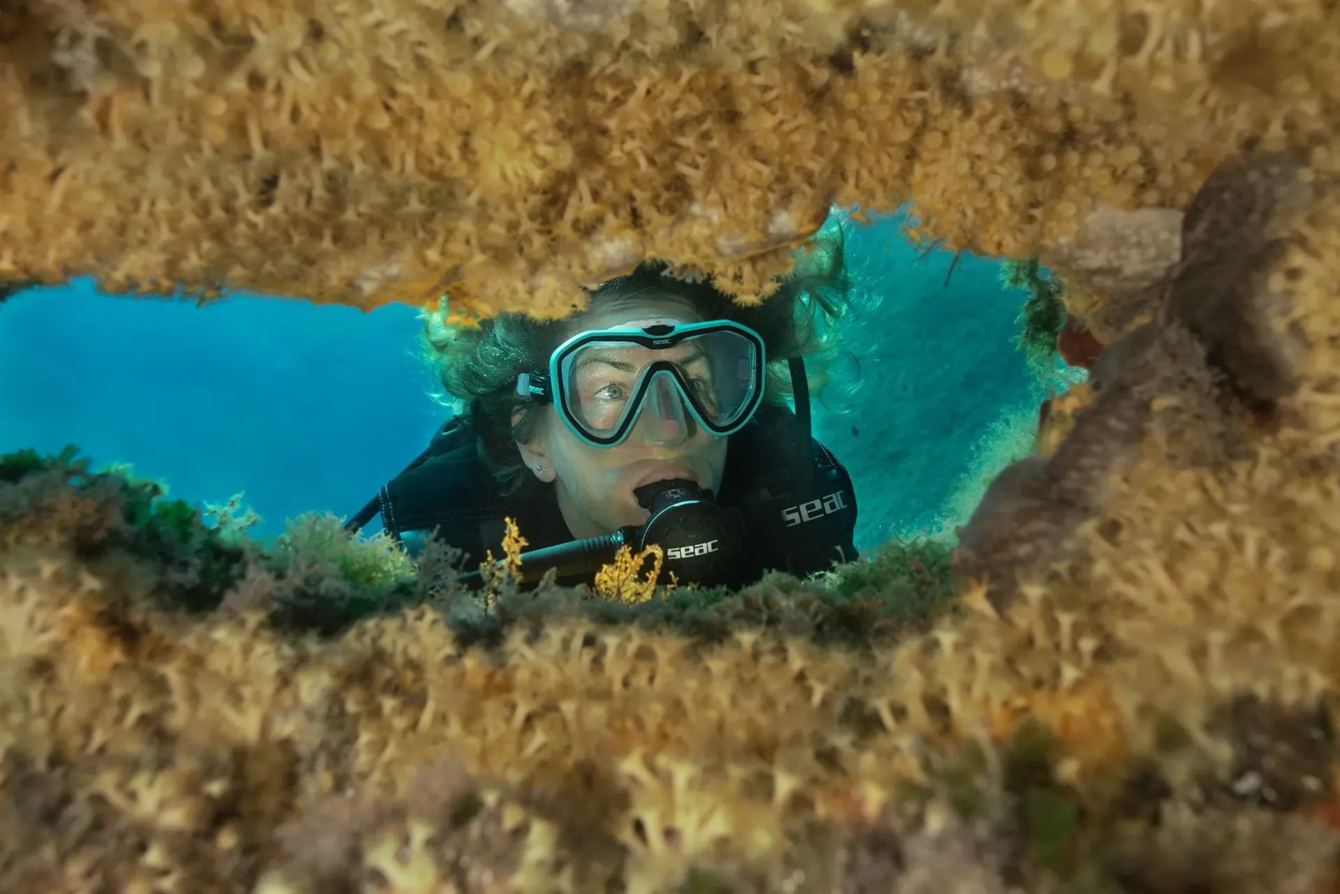 Marine Ecology Specialty