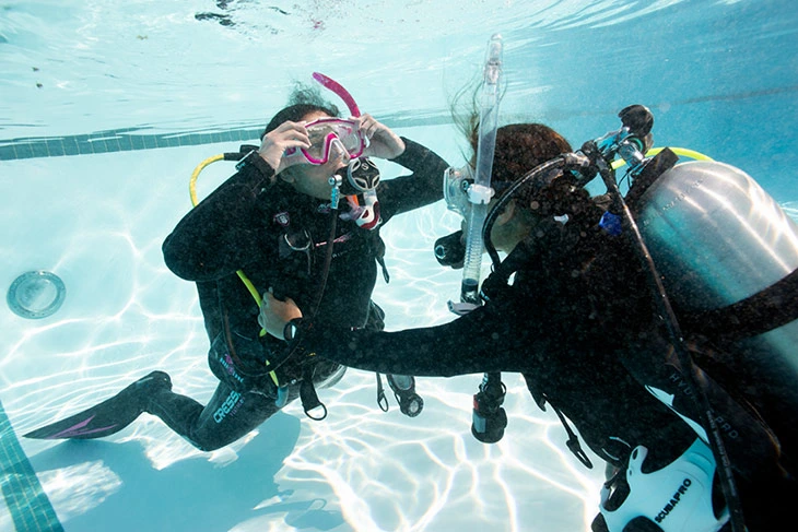 PADI Instructor Development Course (IDC)