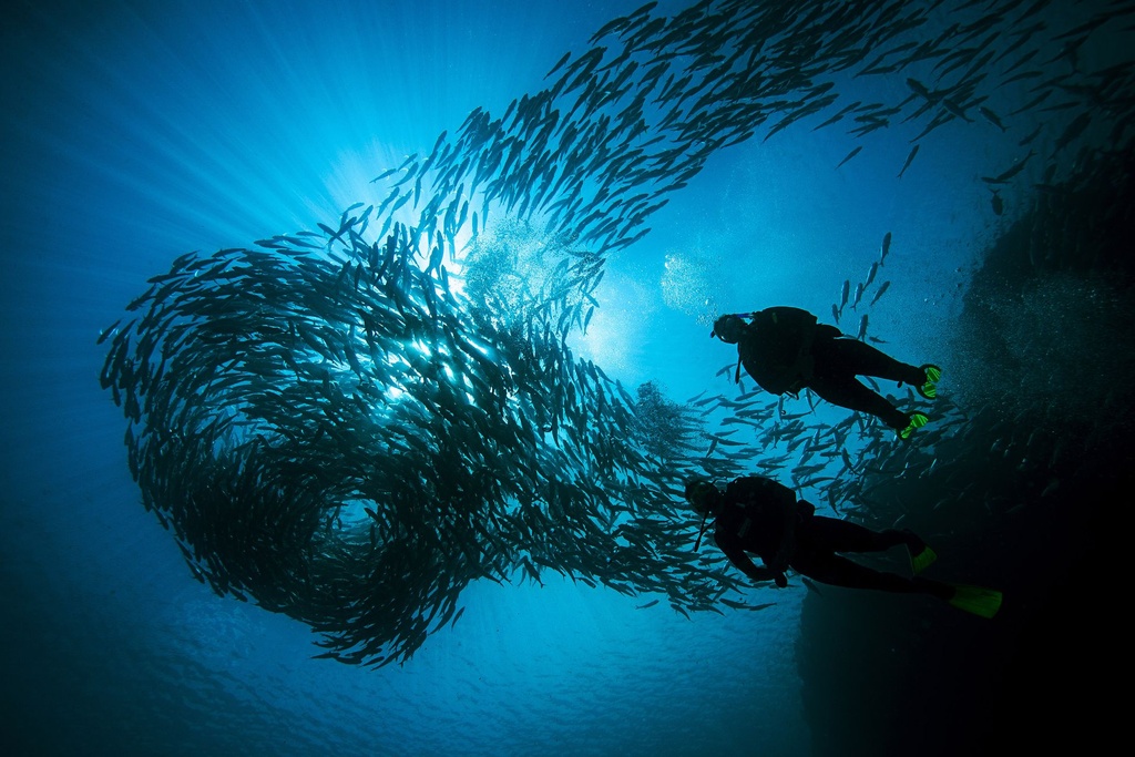 [DPG-SPDP] PADI Deep Diver Specialty