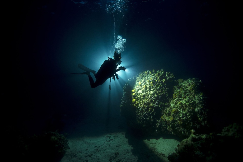 [DPG-SPNGT] PADI Night Diving Specialty