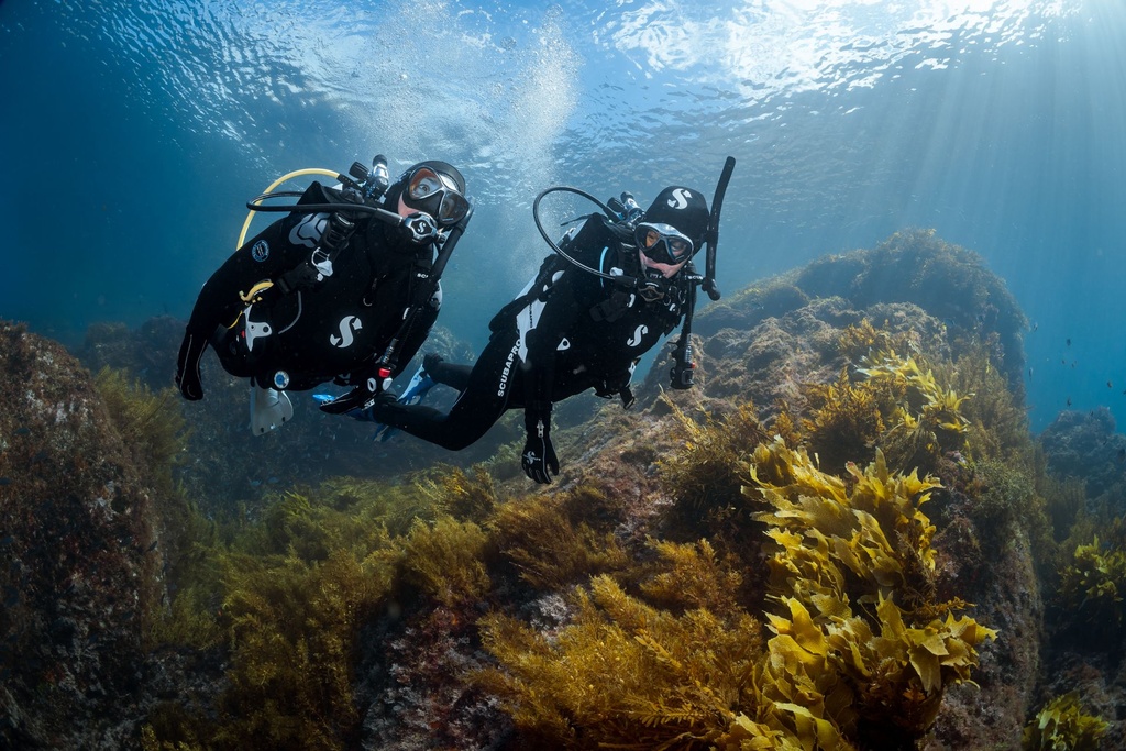 [DPG-SPUWN] PADI Underwater Naturalist