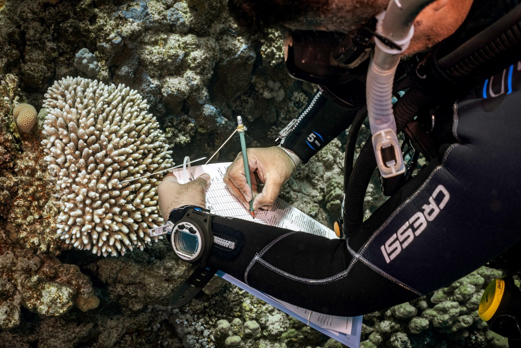 PADI AWARE Specialist
