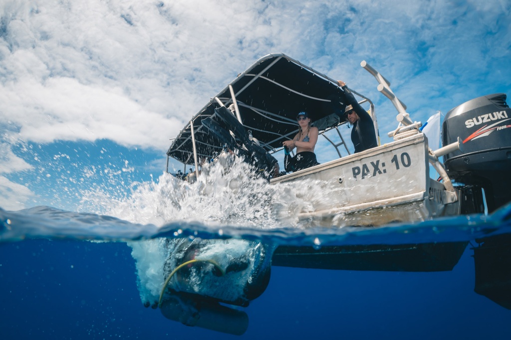 [DPG-SPBOAT] PADI Boat Diver Specialty