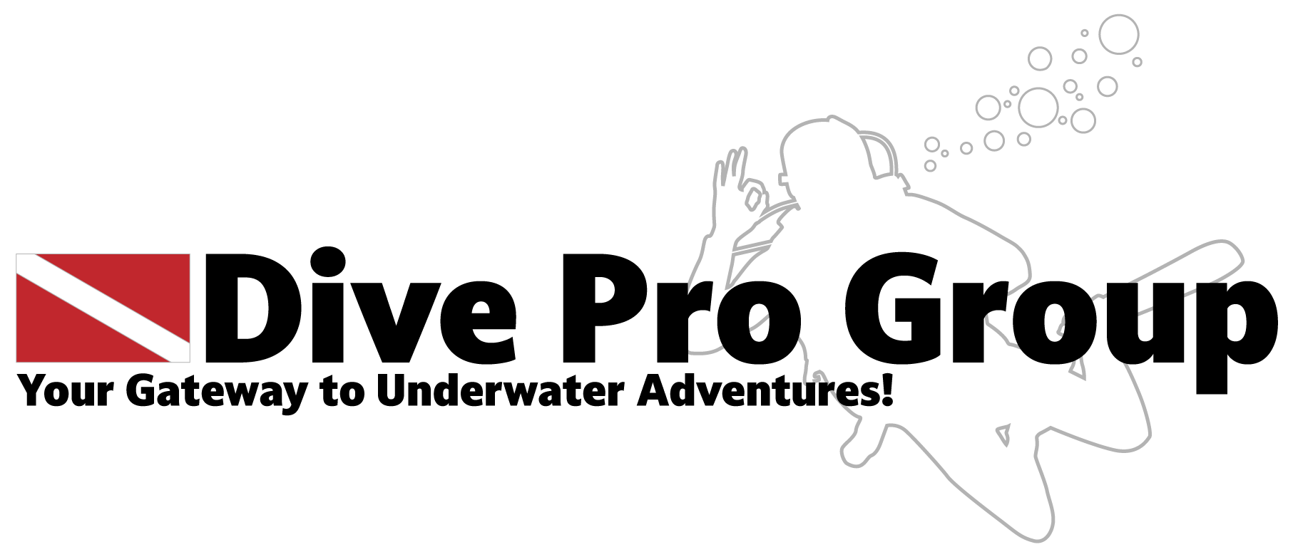 Dive Pro Group